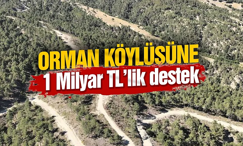 Orman köylülerine endüstriyel odundan 1 milyar TL'lik katkı