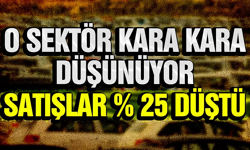 Otomotiv Sektöründe Sert Düşüş: Temmuz Satışları Yüzde 25 Geriledi