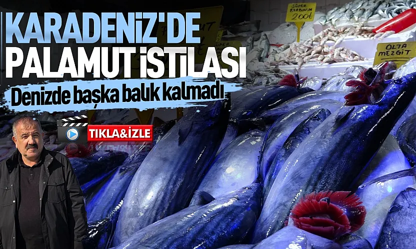 Palamut Karadeniz'i tüketmeden sofralara taşınmalı