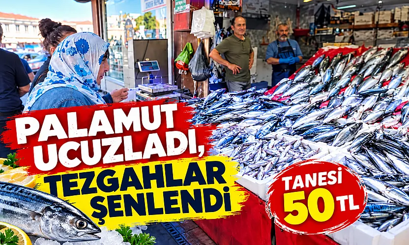 Palamutun tanesi 50 TL'ye düştü