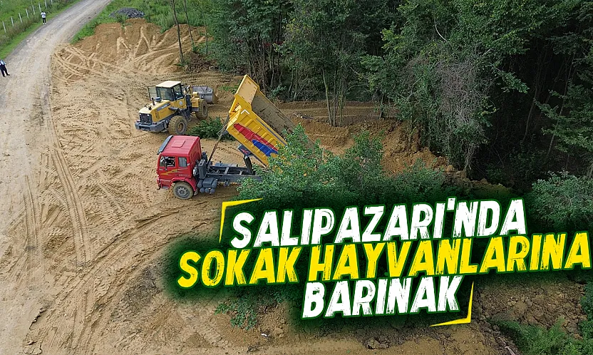 Salıpazarı'nda can dostlar için yuva: Bakım ve rehabilitasyon merkezinde sona doğru