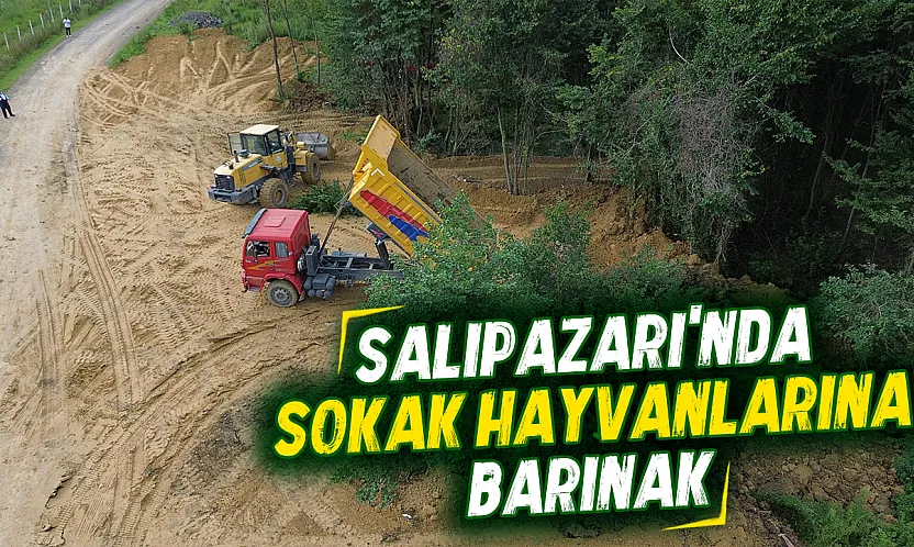 Salıpazarı'nda can dostlar için yuva: Bakım ve rehabilitasyon merkezinde sona doğru