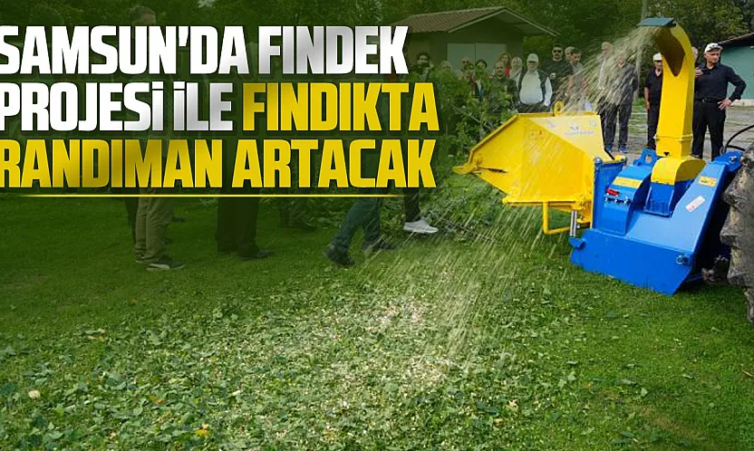 Samsun Atakum'da fındığın randımanın artıracak proje