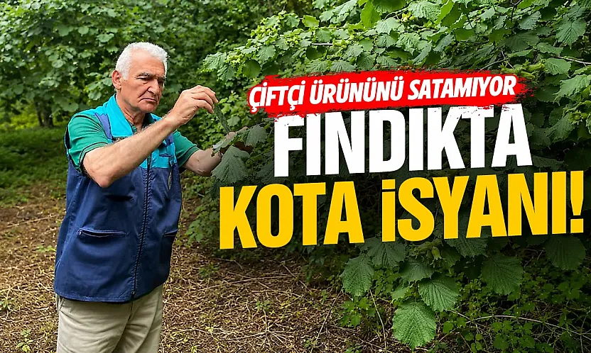 Samsun Ayvacık'ta fındık kotası için imza kampanyası