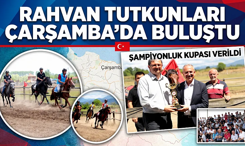 Samsun Çarşamba'da 63 at 7 kategoride kıyasıya yarıştı