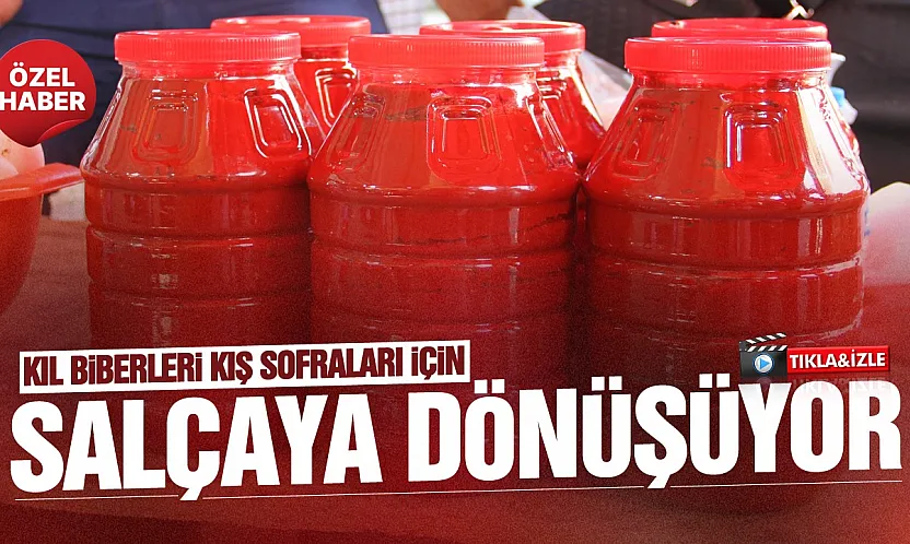 Samsun Çarşamba'da kıl biberinin salçaya dönüşü