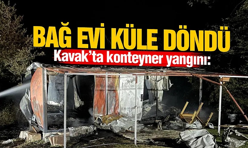 Samsun'da bağ evi olarak kullanılan konteyner küle döndü
