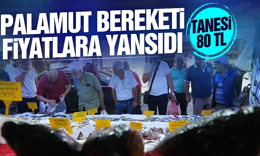 Samsun'da balık tezgahlarında palamut bereketi