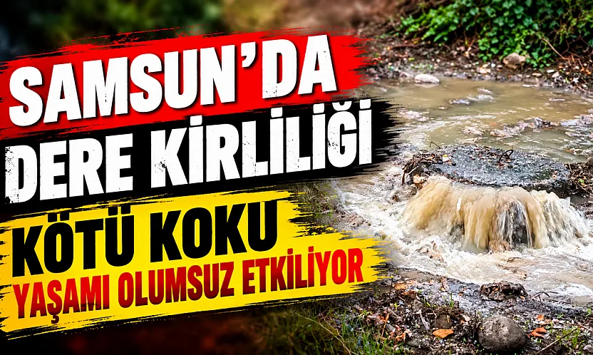 Samsun'da Baruthane Deresi'nde kötü koku tepkisi