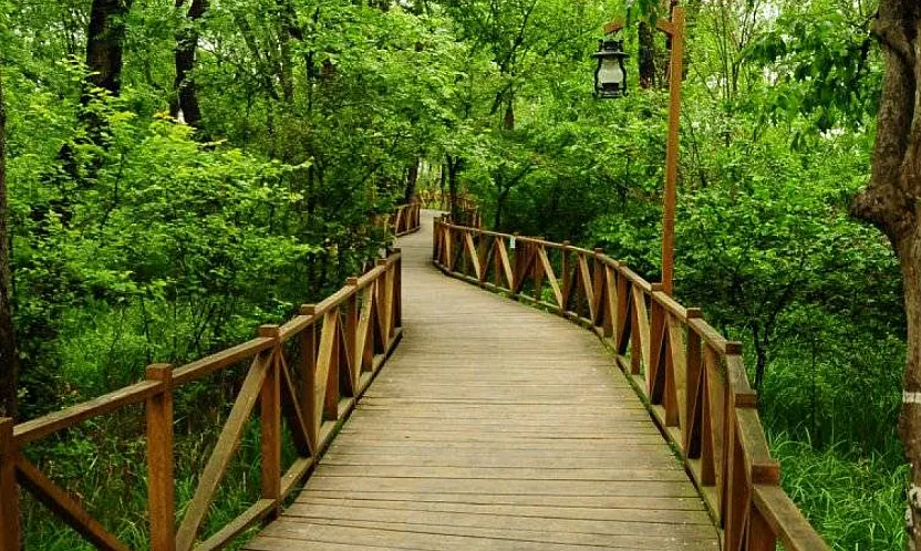 Samsun'da burası toprağa değmeden geziliyor : hafta sonu rotası 'Çakırlar'