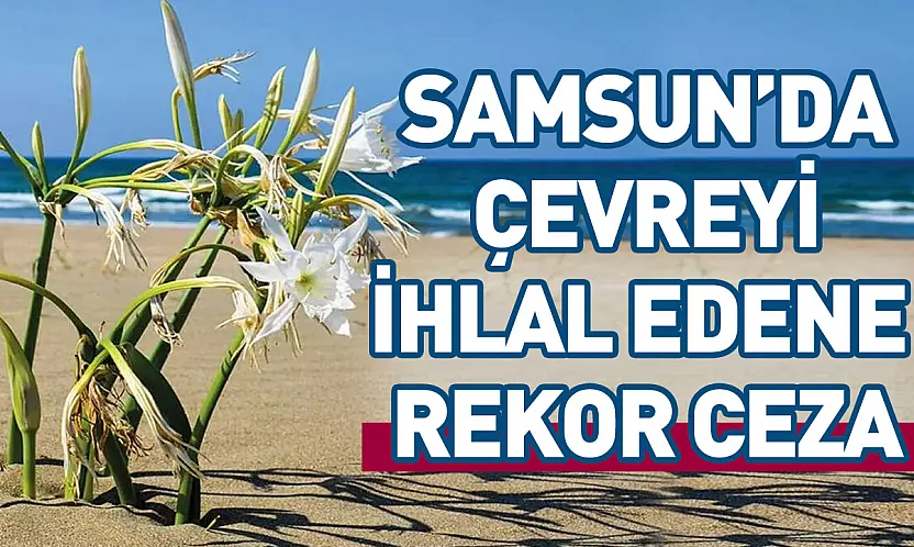 Samsun'da çevre kanunu'nu ihlal eden kişiye 699 bin TL ceza