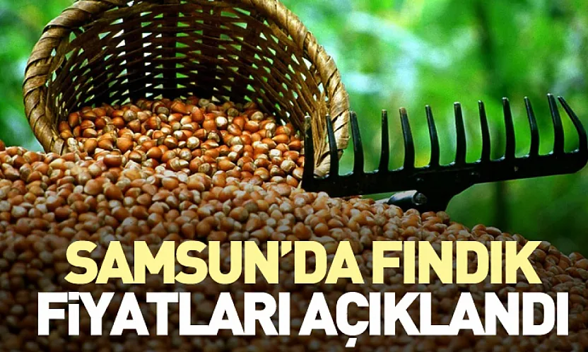 Samsun'da Fındık Fiyatları Açıklandı