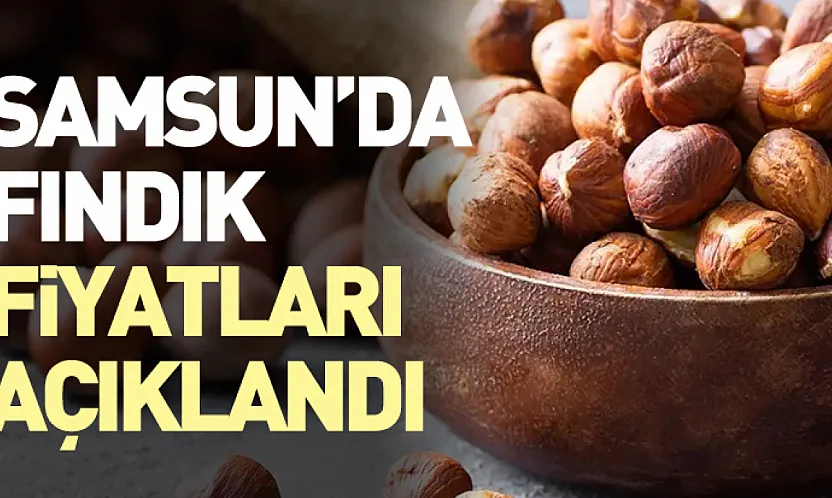 Samsun'da fındık fiyatları açıklandı