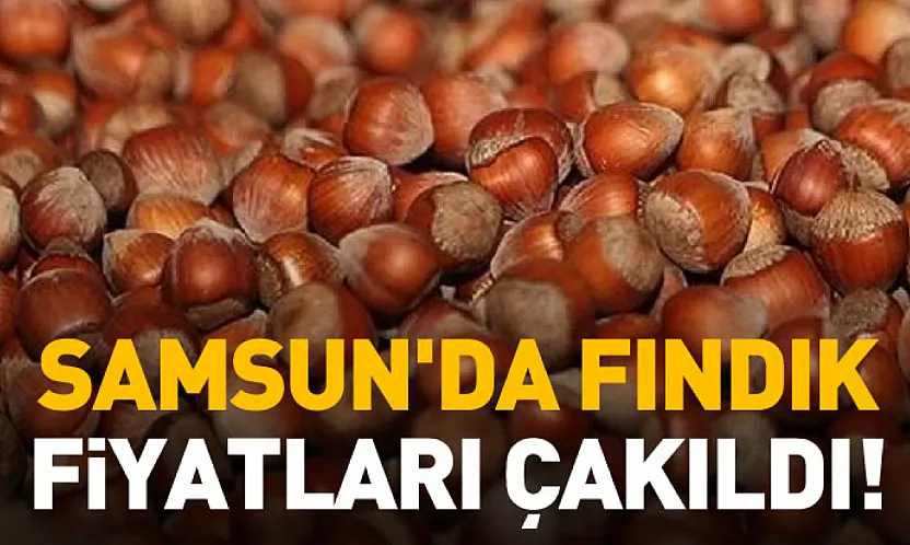 Samsun'da Fındık Fiyatları Çakıldı!