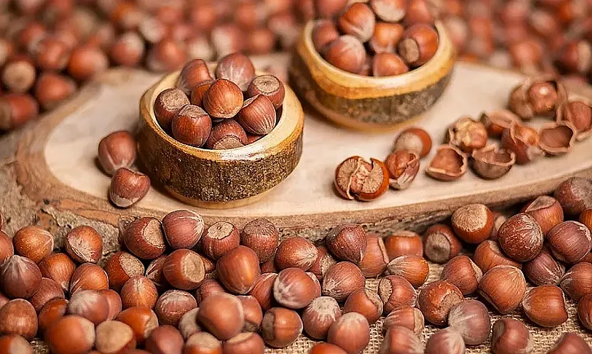 Samsun'da fındık fiyatları kabuğuna sığmıyor: İlçe İlçe Son Durum!