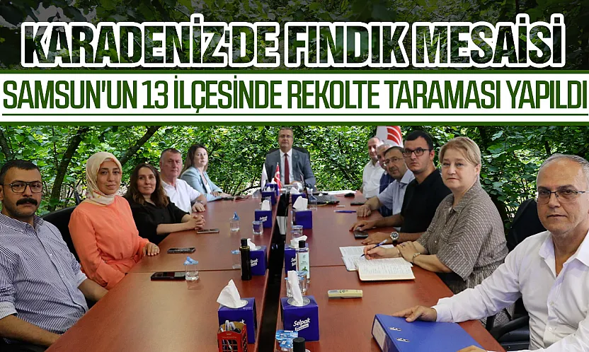 Samsun'da fındık mesaisi bitti: 2026 rekolte tahmini çalışmaları tamamlandı