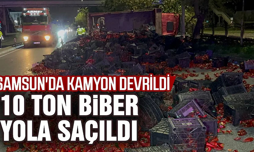 Samsun'da kapya biber yüklü kamyon devrildi, 10 ton biber yola saçıldı