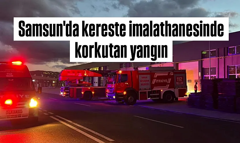 Samsun'da kereste imalathanesinde yangın paniği