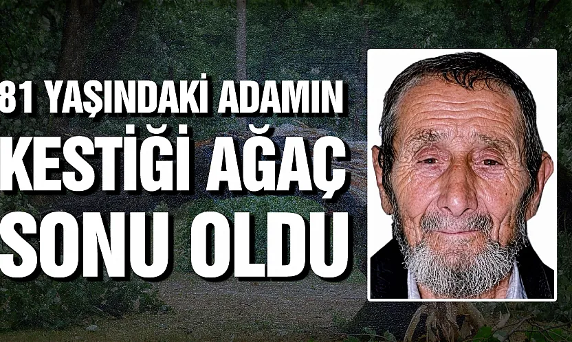 Samsun'da kestiği ağaç üzerine devrilen adam hayatını kaybetti