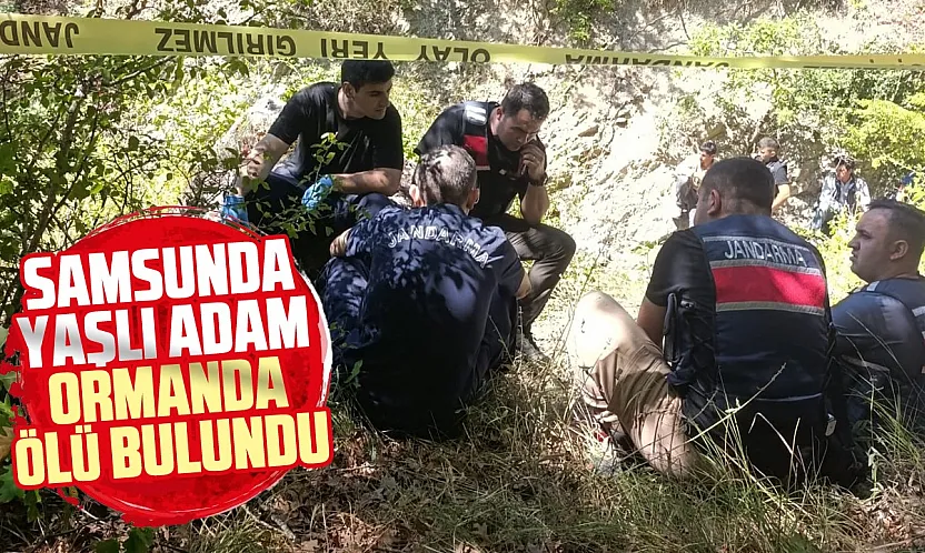 Samsun'da Koyunlarını otlatmaya çıkan adam ormanda ölü bulundu