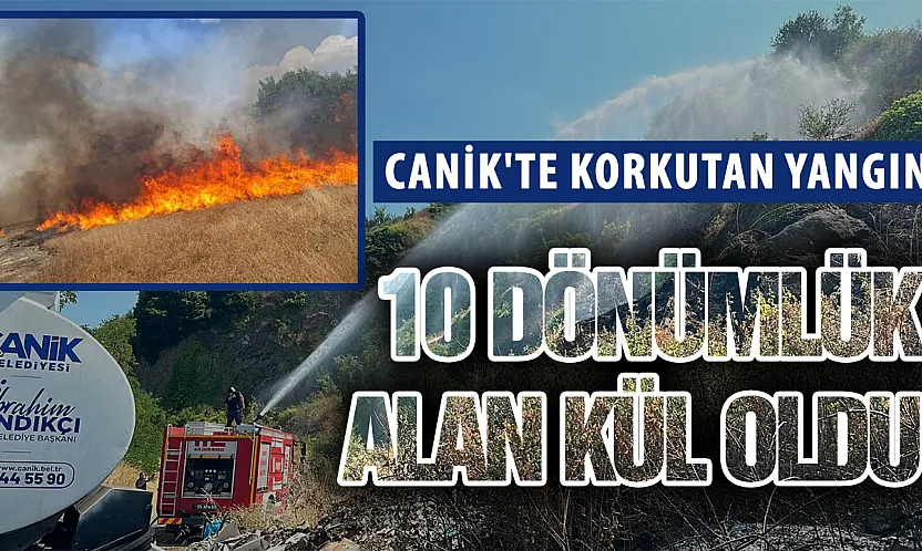 Samsun'da Otluk Alan Yangını: 10 Dönüm Zarar Gördü
