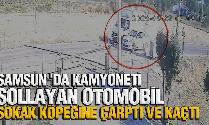 Samsun'da otomobil köpeğe çarptı arkasına bakmadan kaçtı