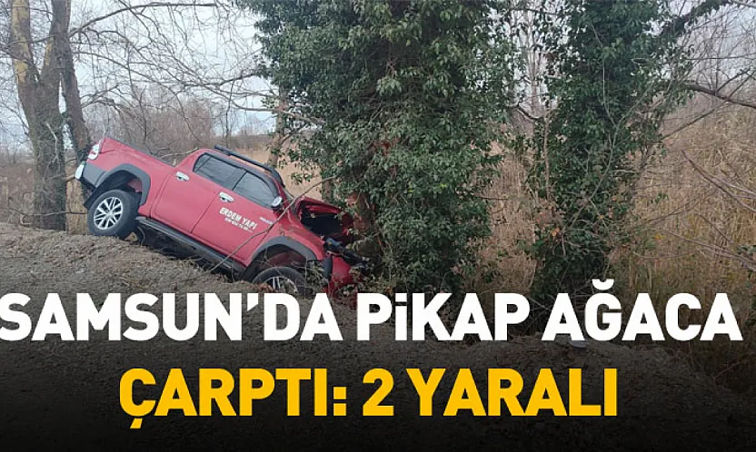 Samsun'da pikap ağaca çarptı: 2 yaralı