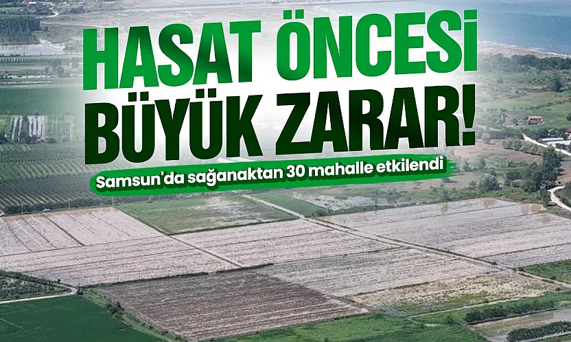 Samsun'da sağanak tarım alanlarını vurdu: 30 mahalle etkilendi