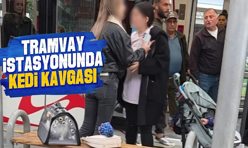 Samsun'da tramvay durağında kedi tartışması kavgaya döndü