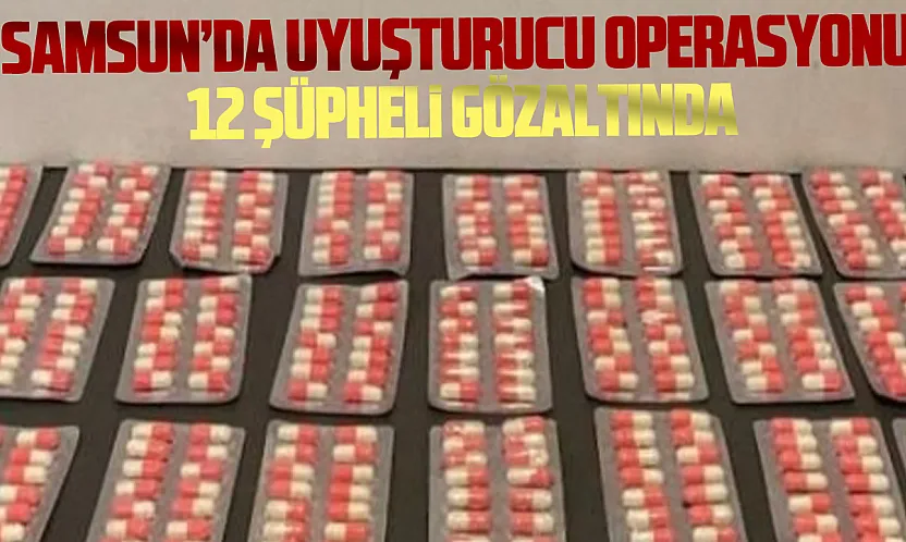 Samsun'da uyuşturucu baskını: 4 bin 856 sentetik ecza ele geçirildi