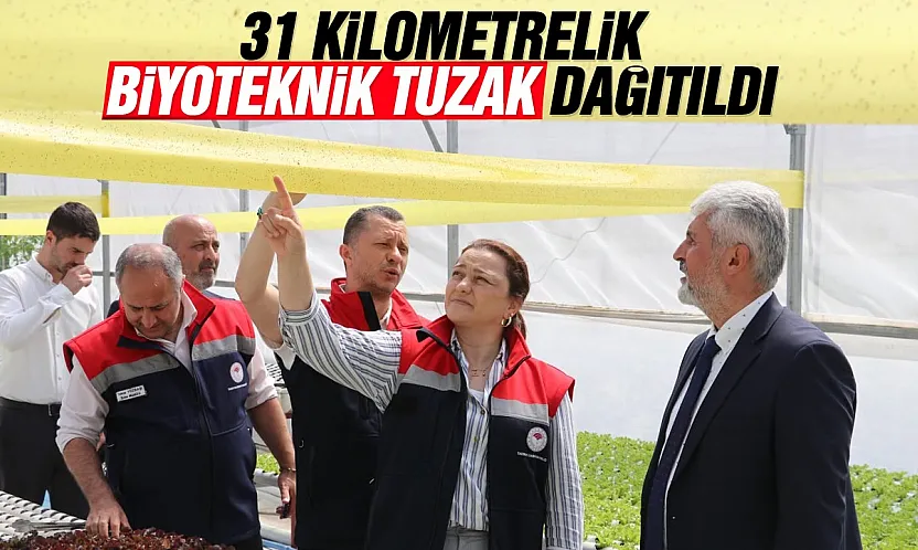 Samsun'da zararlı böcek mücadelesinde tuzaklama sistemi