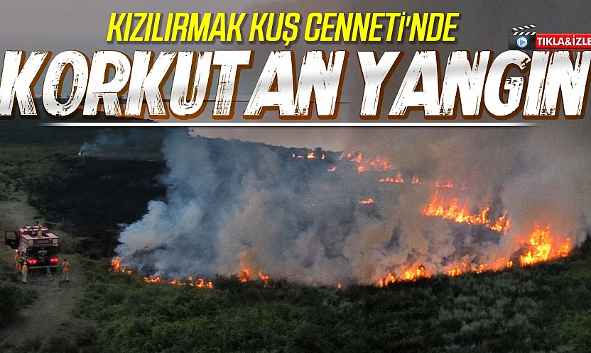Samsun Kızılırmak Deltası Kuş Cenneti'nde yangın