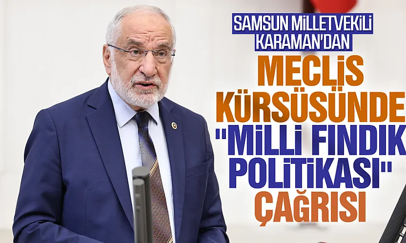 Samsun Milletvekili Karaman'dan Meclis Kürsüsünde 'Milli Fındık Politikası' Çağrısı