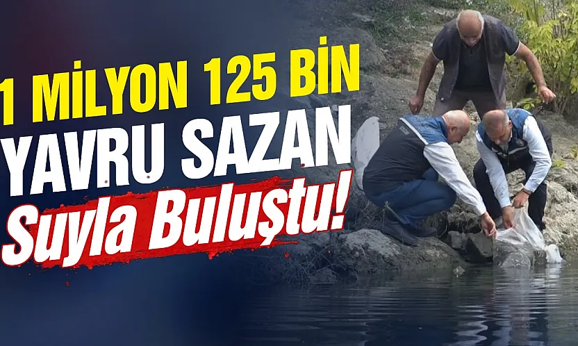 Samsun'un Mavi Vatanına 1 Milyonu aşkın Sazan yavrusu bırakıldı