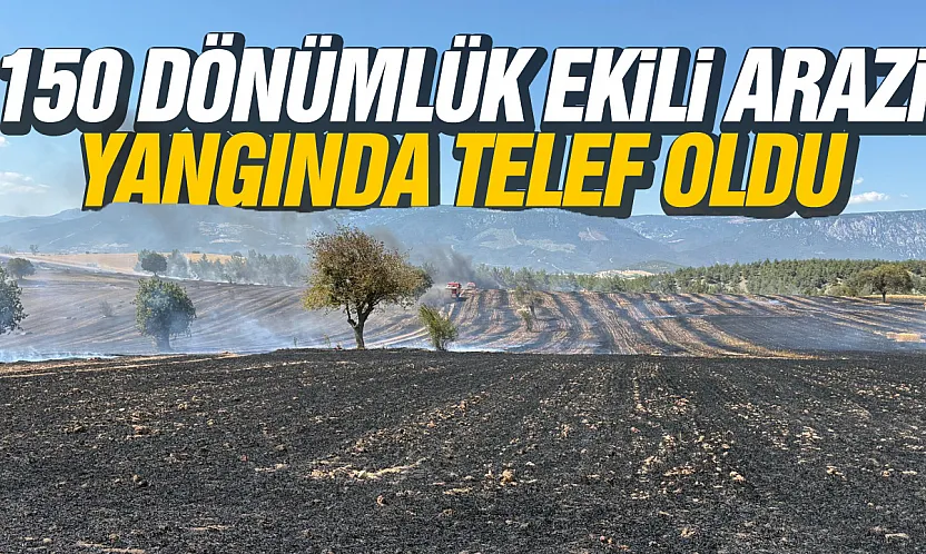 Samsun Vezirköprü'de Tarlada Çıkan Yangın Ürünleri Yok Etti