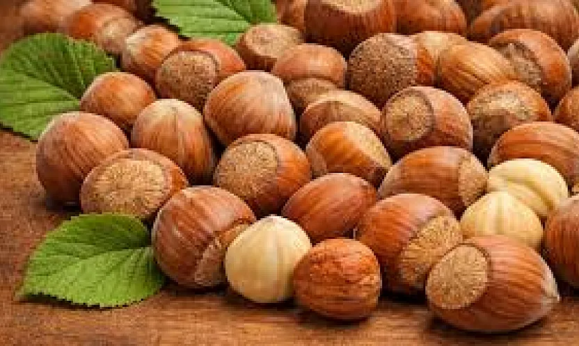 ​Samsunlu üretici beklemede: Fındık fiyatları yükselir mi?