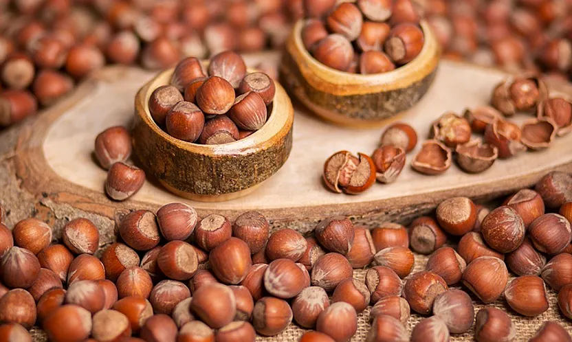 Samsunlu üreticiler fındığı depolarda tutuyor