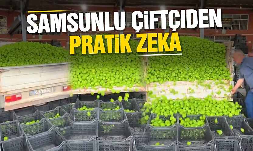 Saniyeler İçinde Kasalara Doldurdu: Çiftçinin Yöntemi Hayran Bıraktı