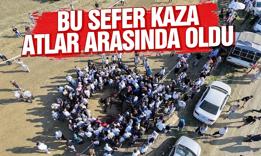 Sarımsak Festivali'nde feci kaza Çarpışan iki at telef oldu