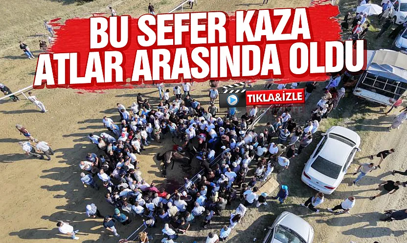 Sarımsak Festivali'nde feci kaza Çarpışan iki at telef oldu