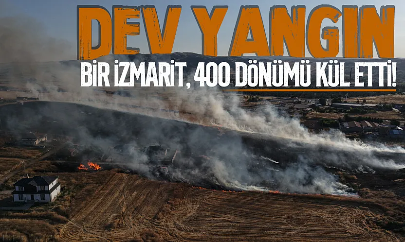 Sigara İzmariti Felakete Yol Açtı! 400 Dönüm Arazi Küle Döndü