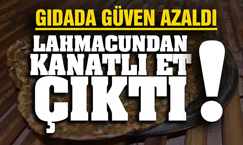 Tarım ve Orman Bakanlığı hileli ürünlere aman vermiyor