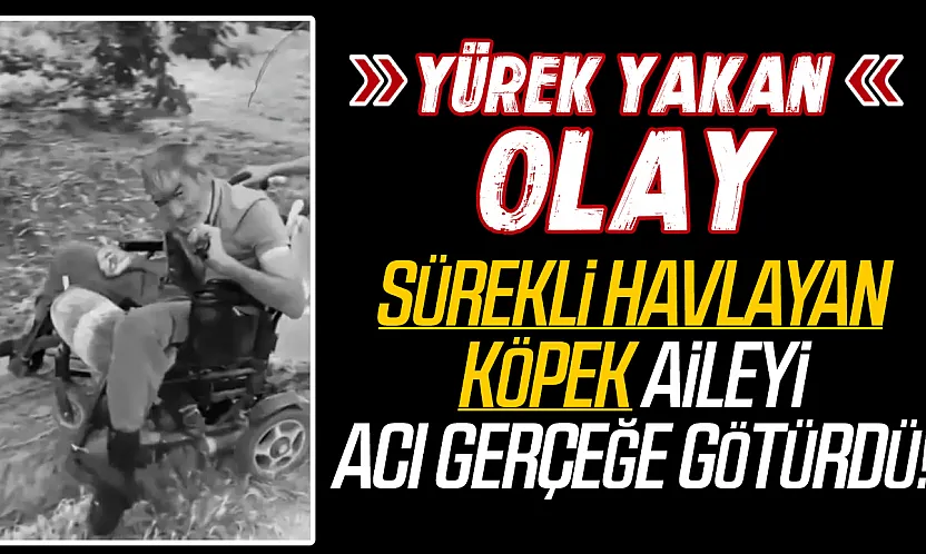 Tekerlekli sandalyesi tutuşan engelli vatandaş hayatını kaybetti