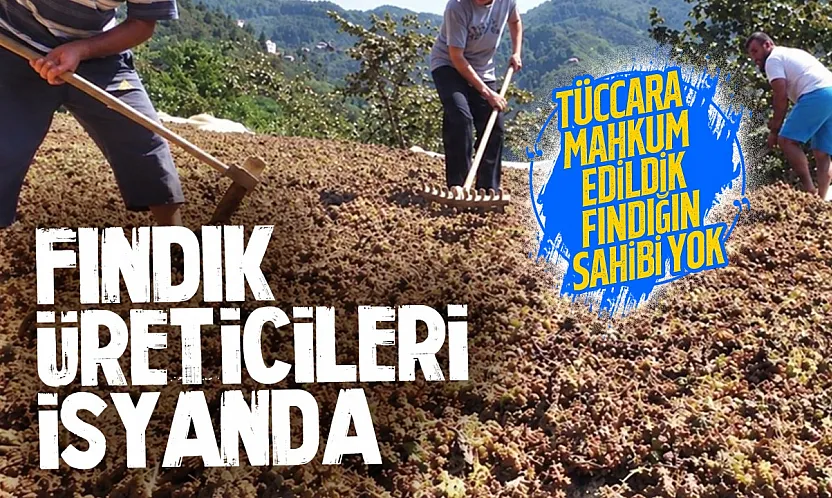 Terme'de Fındık üreticisi isyanda