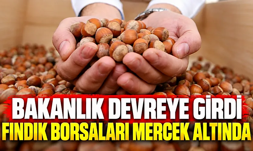 Ticaret Bakanlığı fındık borsalarında kapsamlı denetim başlattı