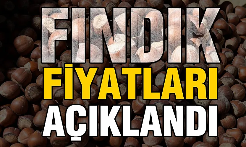 TMO 2026 fındık fiyatlarını açıkladı!