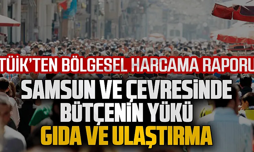 TÜİK 2025 verileri açıklandı: Samsun'da bütçeler gıda, ulaştırma ve konuta gidiyor