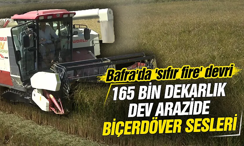 Türkiye'nin çeltik deposu Bafra Ovası'nda hasat mesaisi