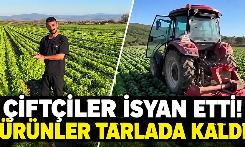 Üreticinin emeği pazarda karşılık bulmuyor