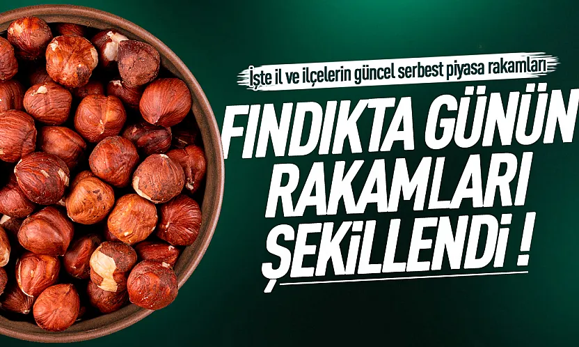 Üreticinin gözü serbest piyasada: İşte il il canlı fındık fiyatları raporu!